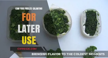 How to Freeze Cilantro: A Simple Guide for Freshness Later
