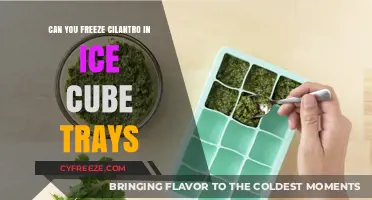 Preserve Freshness: The Ultimate Guide to Freezing Cilantro in Ice Cube Trays