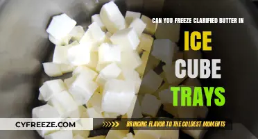 Clarified Butter Cubes: A Handy Kitchen Hack for Easy Freezing