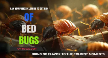 Freezing Clothes: An Effective Bed Bug Elimination Method?