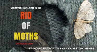 Freeze Clothes to Kill Moths: Effective Moth Removal Method?