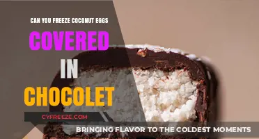 Freezing Coconut Eggs: A Chocolate-Covered Storage Solution Guide