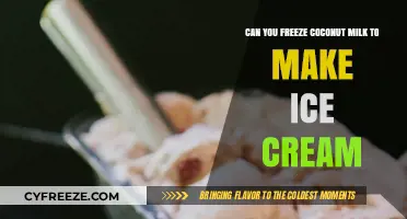 Transforming Coconut Milk into Creamy, Dairy-Free Ice Cream Delight