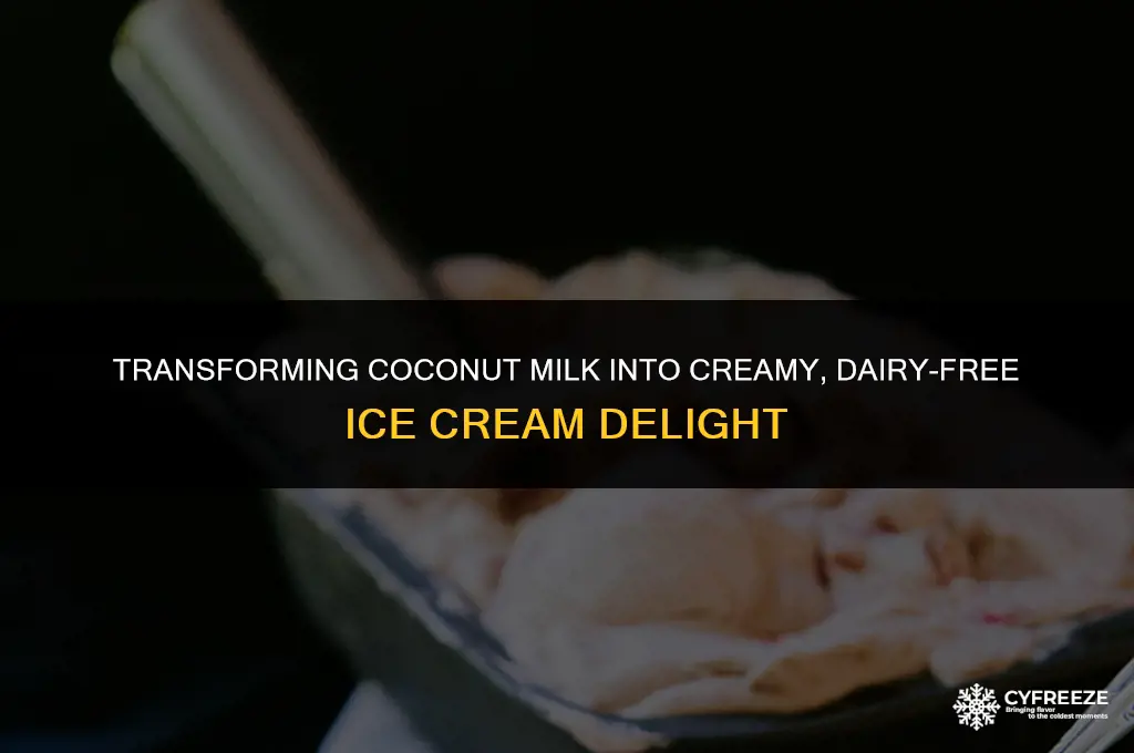 can you freeze coconut milk to make ice cream