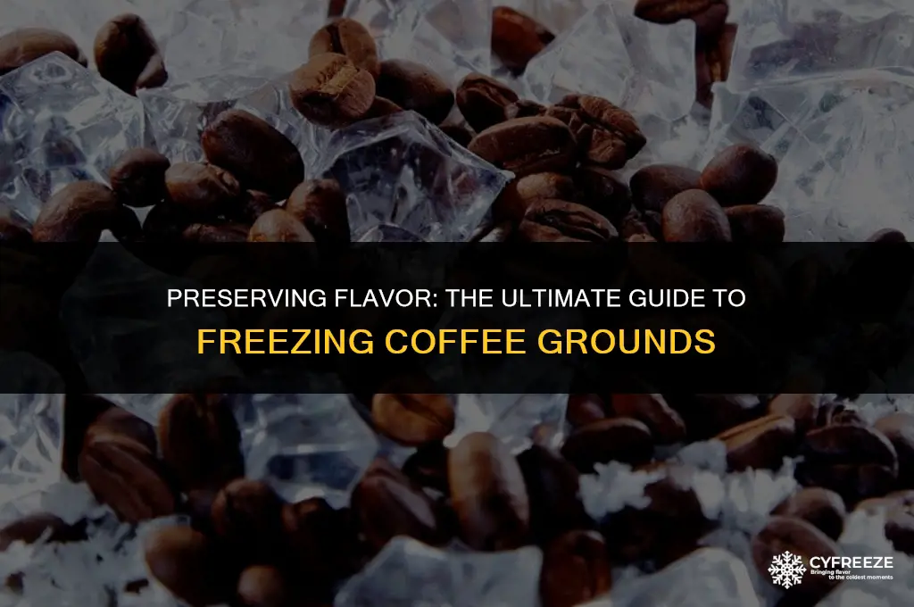 can you freeze coffee grounds to keep them fresh