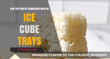 Sweet Cubes: The Ultimate Guide to Freezing Condensed Milk