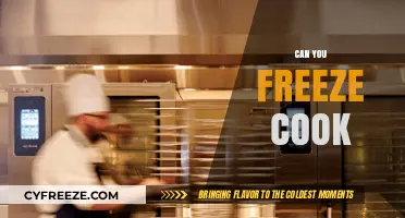 Exploring the Possibilities: Can You Really Freeze Cook?