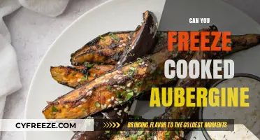 Exploring the Freezer: Can You Freeze Cooked Aubergine?