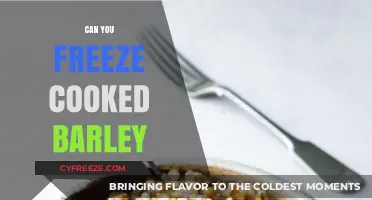 Exploring the Freezing Potential of Cooked Barley: A Comprehensive Guide