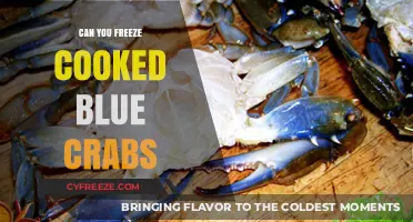 Savor the Flavor: Freezing Cooked Blue Crabs for Later Delights