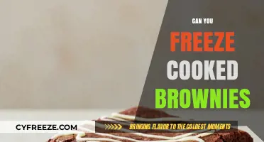 Chill or Not: The Great Brownie Freezing Debate