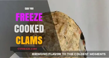 Savor the Flavor: Freezing Cooked Clams for Future Delights