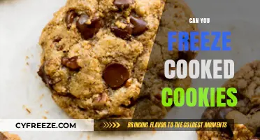 Sweet Treats Storage: Can You Freeze Cooked Cookies?