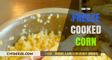 Preserve the Flavor: Freezing Cooked Corn Made Easy
