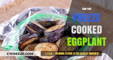 Exploring the Do's and Don'ts of Freezing Cooked Eggplant