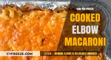 Reviving Comfort: The Do's and Don'ts of Freezing Cooked Elbow Macaroni