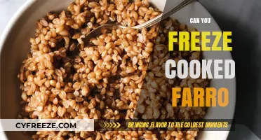 Exploring the Freezing Potential of Cooked Farro: A Comprehensive Guide