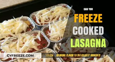 Freezing Cooked Lasagna: A Complete Guide to Preserve Your Meal