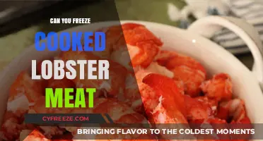 Savoring Summer: The Ultimate Guide to Freezing Cooked Lobster Meat
