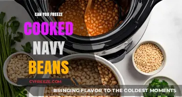 Freezing Cooked Navy Beans: A Handy Guide for Meal Prep