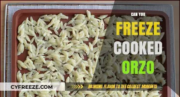 Orzo Preservation: The Ultimate Guide to Freezing Cooked Orzo