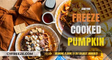 Exploring the Best Methods to Freeze Cooked Pumpkin for Later Use