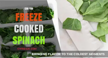 Spinach Storage Simplified: Freezing Cooked Spinach for Later Use