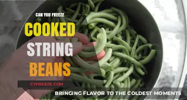 Preserve the Flavor: Freezing Cooked String Beans Made Easy