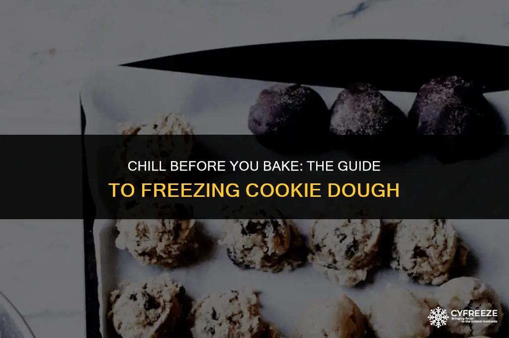 can you freeze cookie dough after you make it