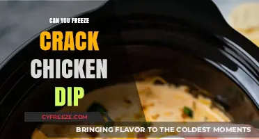 Chill or Toss? The Great Debate Over Freezing Cracked Chicken Dip