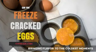 Freezing Cracked Eggs: A Safe and Practical Kitchen Solution