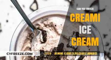 The Scoop on Freezing Creami Ice Cream: A Delicious Experiment