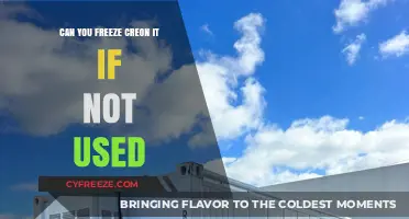 Can You Freeze Creon? Storage Tips for Unused Pancreatic Enzymes