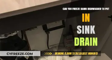 Dawn Dishwasher Hack: Freezing for Sink Drain Efficiency
