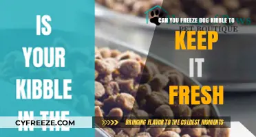 Preserving Pooch Chow: The Ultimate Guide to Freezing Dog Kibble