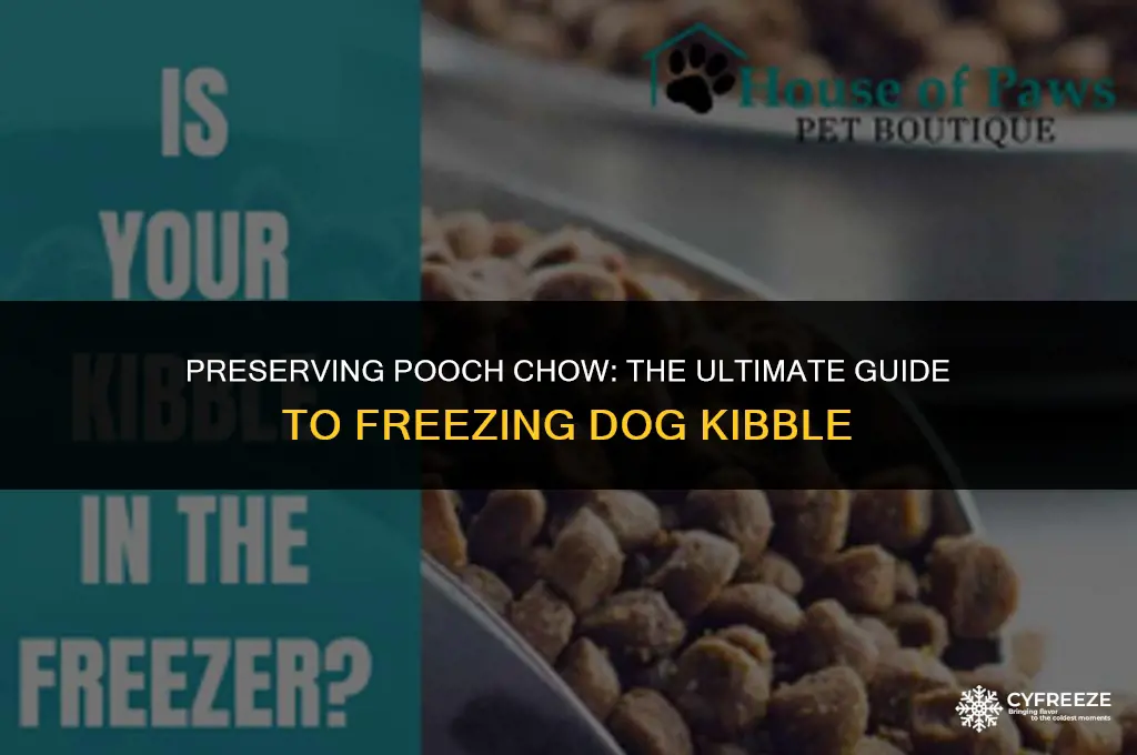 can you freeze dog kibble to keep it fresh