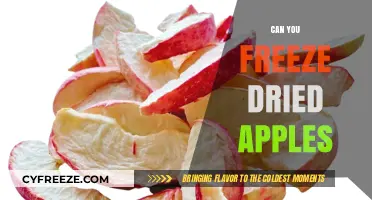 Reviving Crunch: The Art of Freezing Dried Apples for Snack Time