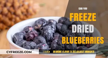 Preserve the Flavor: How to Freeze-Dry Blueberries at Home