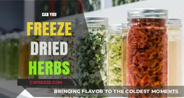 Preserve Freshness: The Ultimate Guide to Freezing Dried Herbs