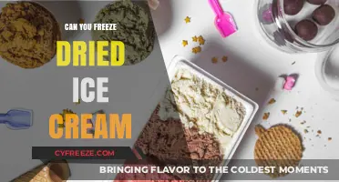 Sweet Preservation: The Art of Freezing Dried Ice Cream