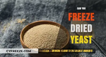 The Surprising Truth About Freezing Dried Yeast: A Complete Guide