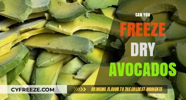 Reviving Creaminess: The Art of Freeze-Drying Avocados