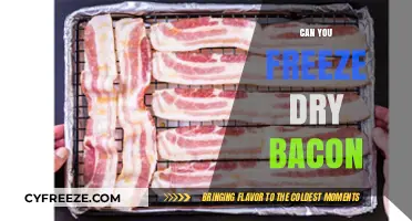 Preserving Perfection: The Ultimate Guide to Freeze-Drying Bacon