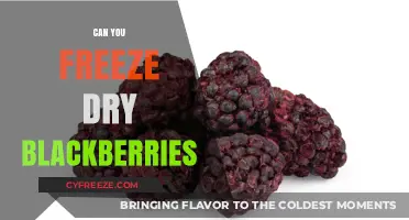 Preserve the Flavor: Freeze-Drying Blackberries for Year-Round Enjoyment