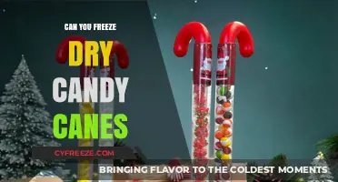 Sweet Preservation: The Art of Freeze-Drying Candy Canes