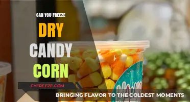 Sweet Preservation: The Art of Freeze-Drying Candy Corn