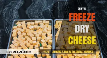 The Ultimate Guide to Freeze-Drying Cheese: Tips and Tricks