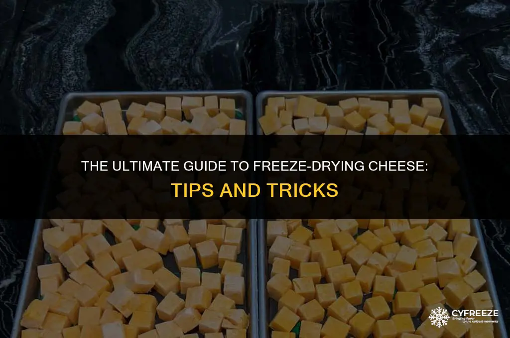 can you freeze dry cheese