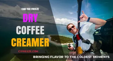 Exploring the Possibilities: Can You Freeze Dry Coffee Creamer?