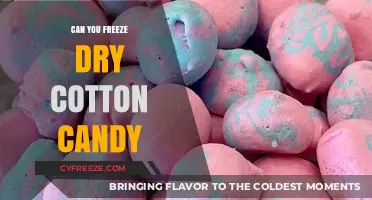 Sweet Preservation: The Art of Freeze-Drying Cotton Candy